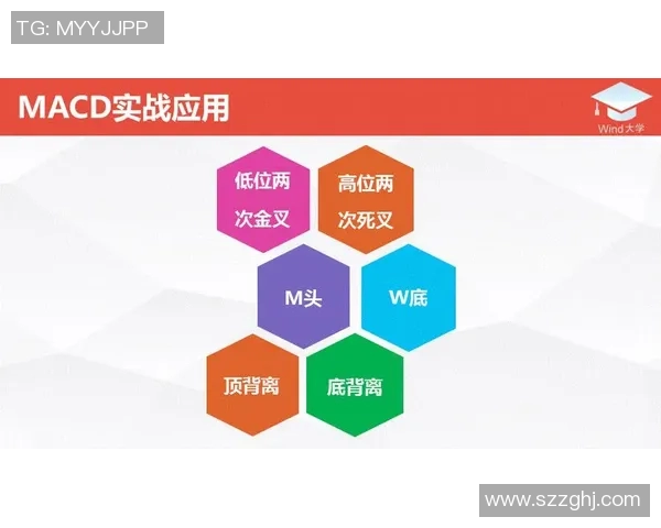 深入分析上海排球队控制打法的战术特点与实战应用